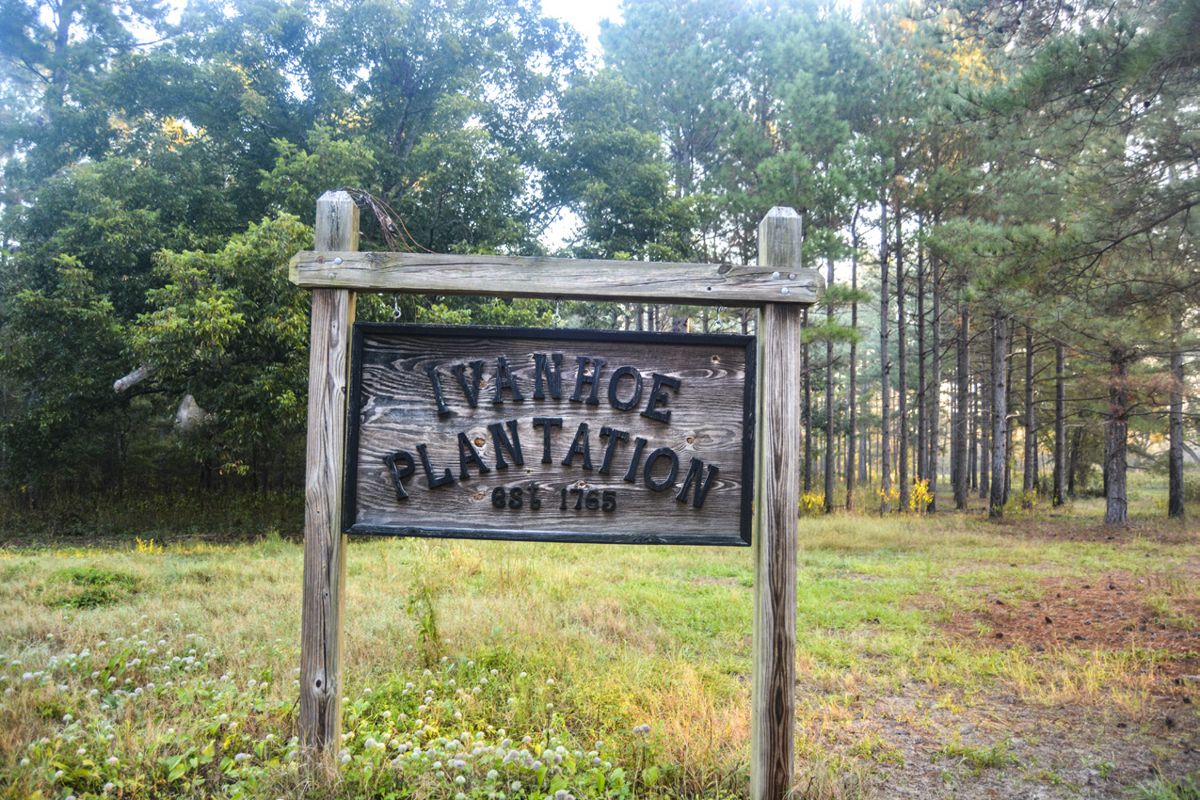 Ivanhoe Plantation was established in 1765; it is still owned by descendants of the original owner.