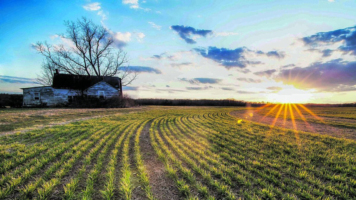 The Trust has an opportunity to save Fredericksburg’s Slaughter Pen Farm forever.