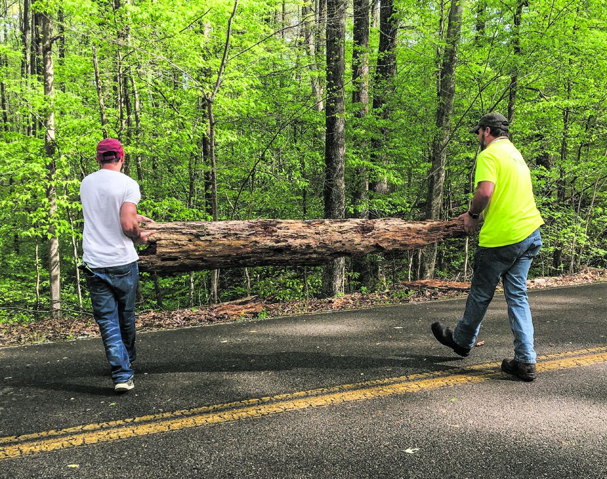Park Day 2021 volunteers clear timber at Fort Pillow State Historic Park in Henning, Tenn.
