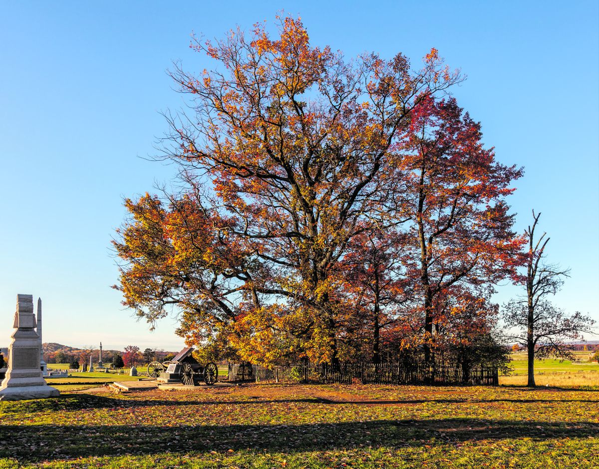 The 9th Virginia carried their M1841 rifles to the “high water mark” (seen in this clump of trees) in Pickett’s Charge at Gettysburg. (Jack W. Melton Jr.)
