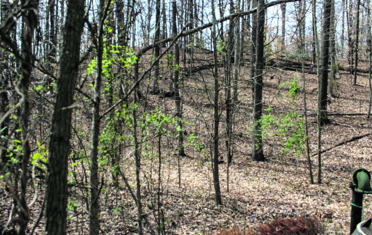 View looking west up stream at Smith Run, toward the Vermont Brigade’s position.