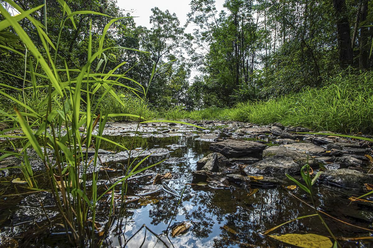 The Trust is currently speaking out against proposed development that would impact a portion of Gettysburg National Military Park along Willoughby Run. Photo by Noel Kline.