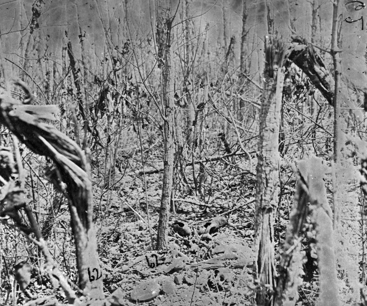 “I doubt if a single tree could have been found that had not been pierced several times with bullets, and all were hit about breast high.” Wilbur Fisk, 2nd VT. From the skull and debris, this photo was probably taken in 1865. (Library of Congress)