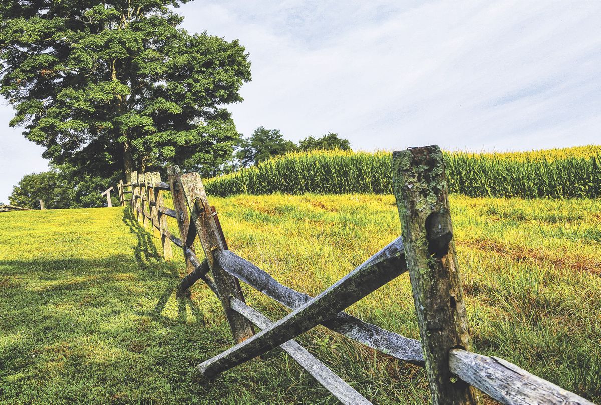 American Battlefield Trust — photograph 2 from the original article