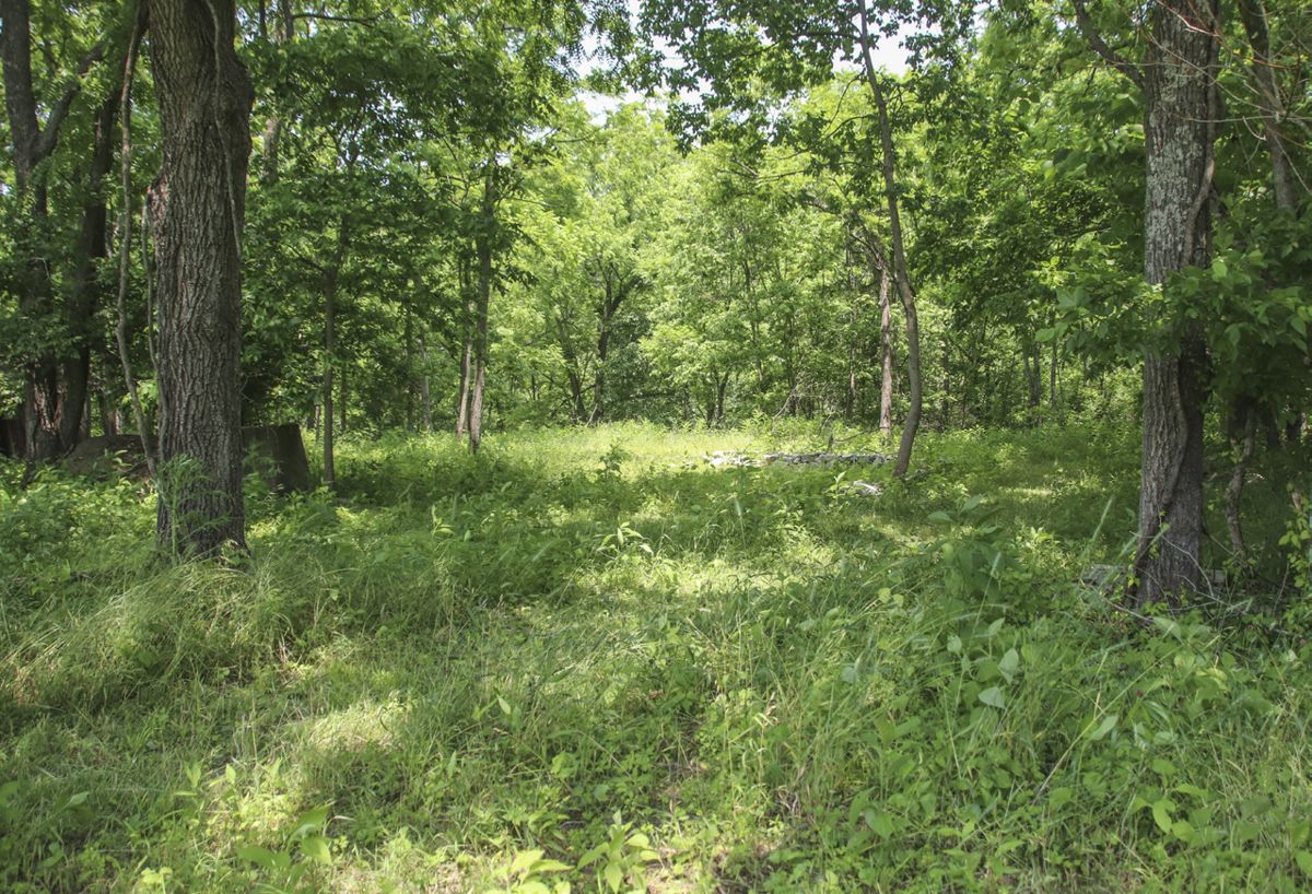 Battle of Perryville Kentucky: the Hankla Farm — photograph 2 from the original article