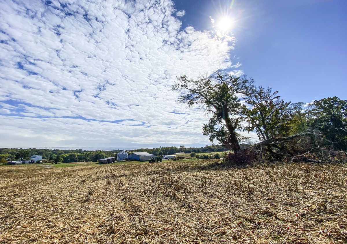 Thinking about the layers of stories and history held in the open fields.