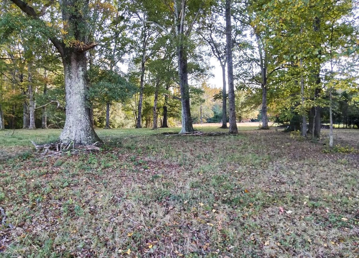 The Stonewall Brigade at Chancellorsville — photograph 2 from the original article