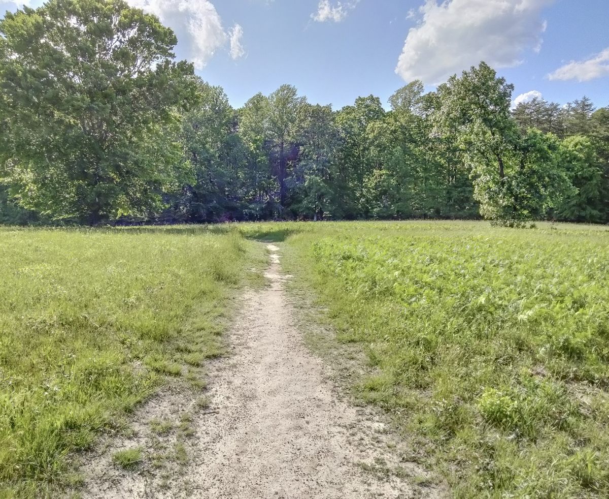 Brotherly Bonds Broken at Spotsylvania — photograph 2 from the original article
