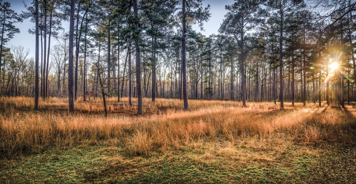 The sun sets on the Cold Harbor Battlefield, Mechanicsville, Va. Photo by Shenandoah Sanchez.