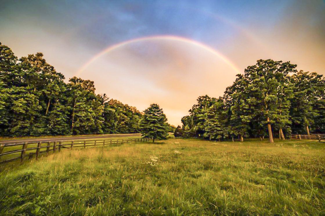 A rainbow fills the sky over the Wilderness Battlefield, Spotsylvania and Orange Counties, Va. Photo by Buddy Secor.