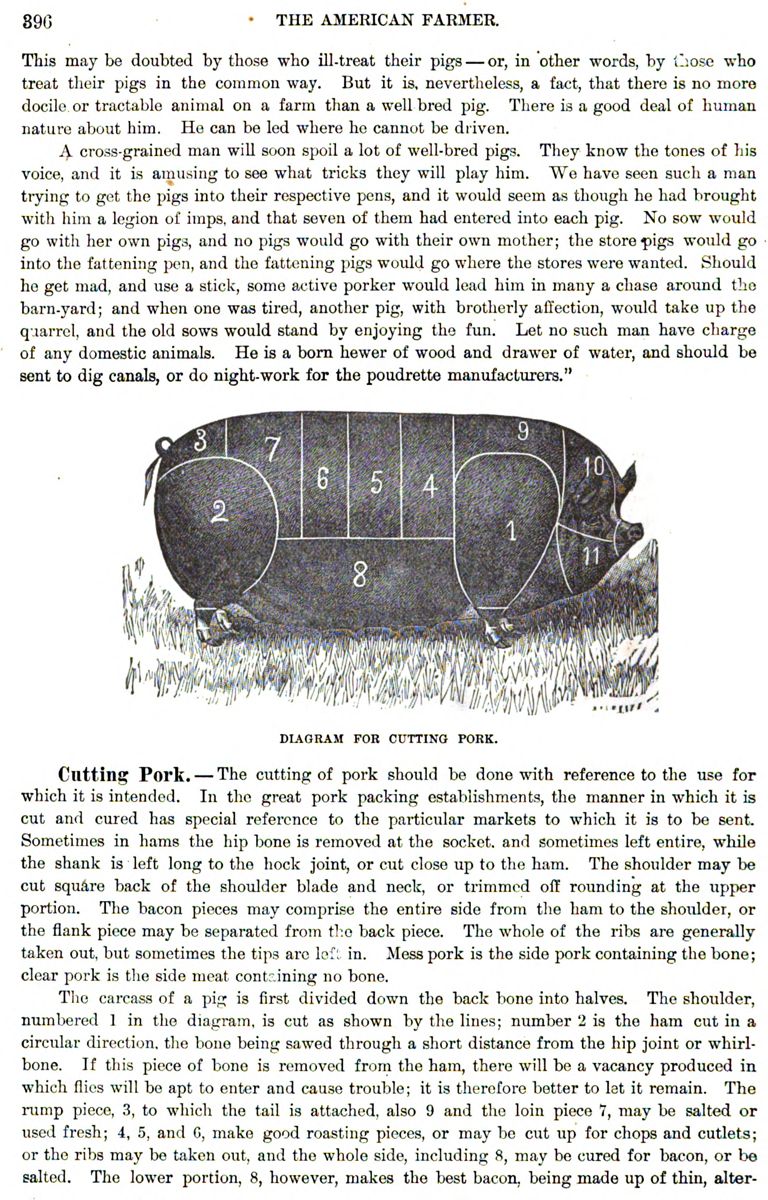 The Pork Ration — lead photograph from the original article