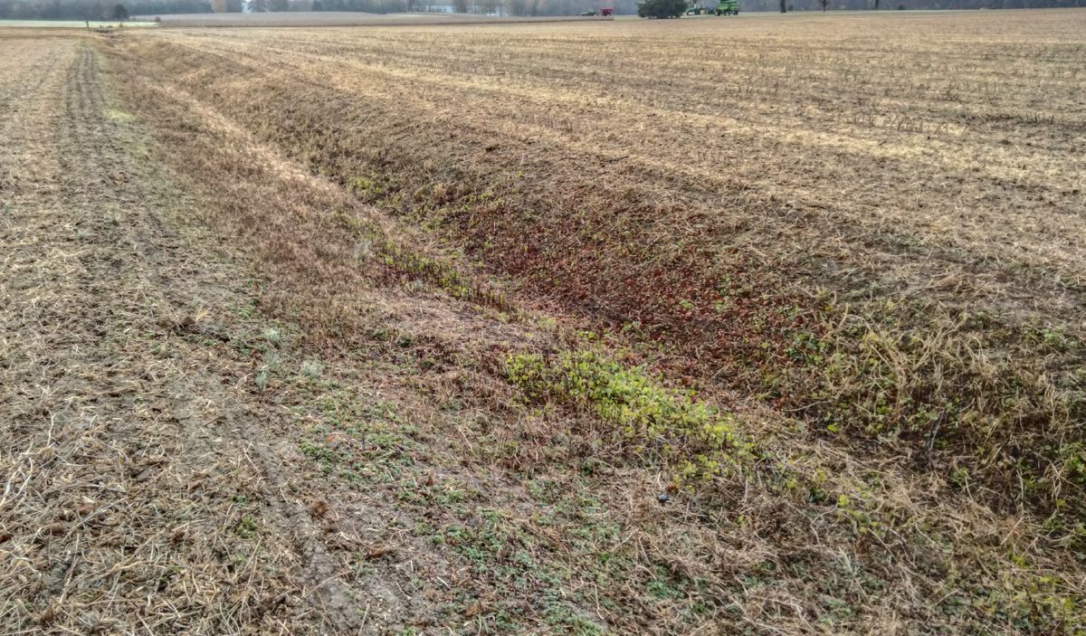 Some of the regiments in Hobart’s brigade had to navigate ditch fences similar (but deeper) to this one that still exists at Slaughter Pen Farm. (Tim Talbott)