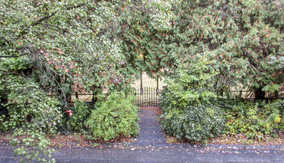 A Heartfelt Tribute of Parental Affection — photograph 4 from the original article