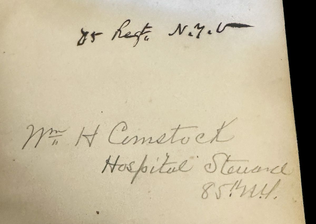 A Healer’s Hat and Manual Fannie Palmer, Artist — photograph 5 from the original article