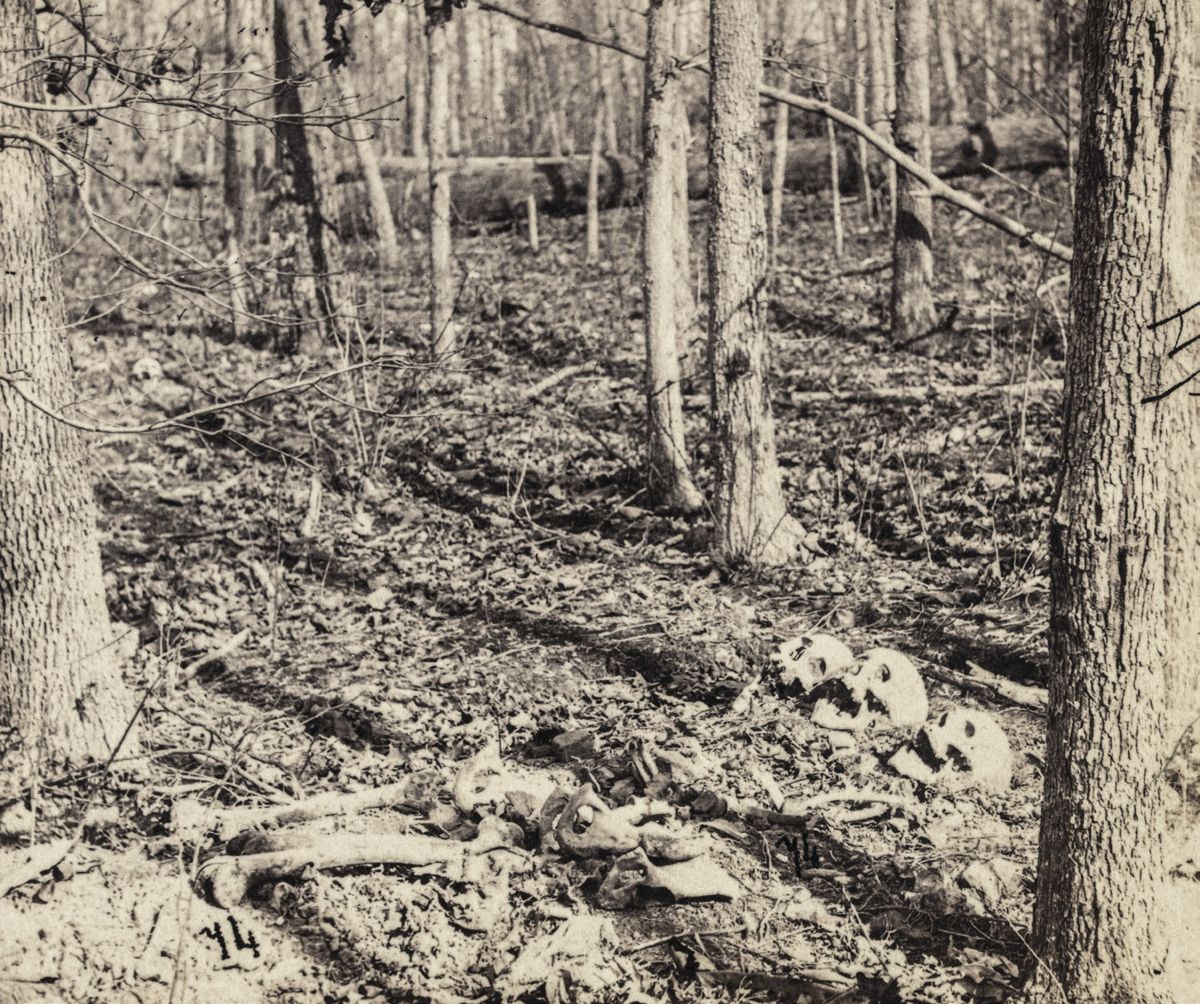 Central Virginia Battlefields Trust — lead photograph from the original article